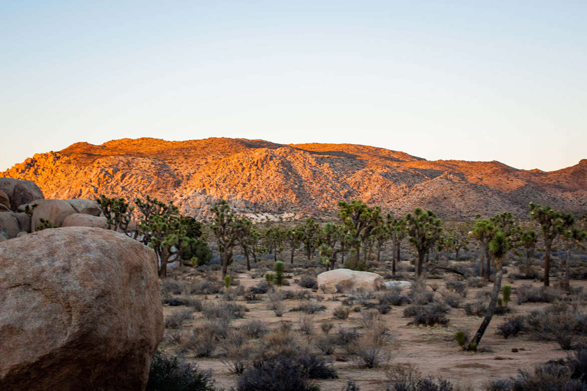 The Best Places To Stay Near Joshua Tree National Park Where S Bel