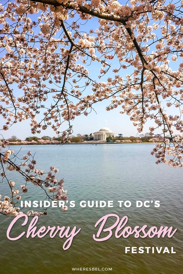 Everything to Know for Washington DC Cherry Blossom Season - InsideHook